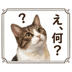 Framed Cat Stickers for Everyday Chats