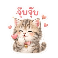 Little Kitty Says It All