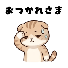 A cute Kitten`s story4a