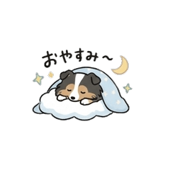 Clumsy Sheltie Everyday Stickers