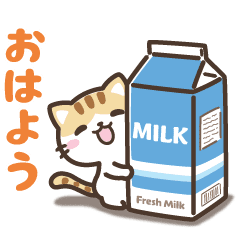 動く!クロときどきミケ【日常】