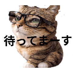 taniyan_20260422104216