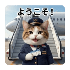 A cat working at the airport
