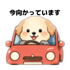 Yon love_20260422112233