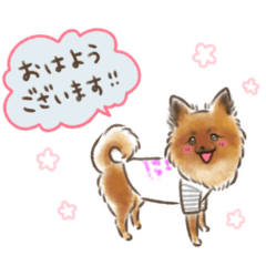 chiwapome Haruchan