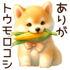 ダジャレの柴犬の挨拶✩.*˚