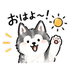 Clumsy Husky Everyday Stickers