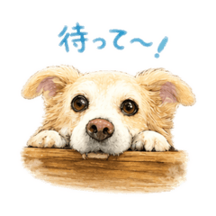 love_taro_20260422123740