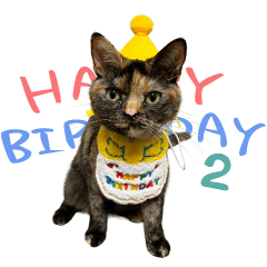 Mozuku2ndhappybirthday