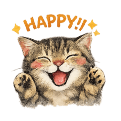 The daily life of a tabby cat :)