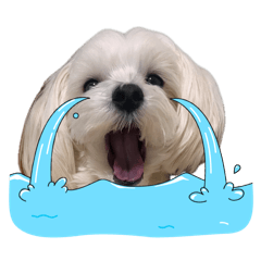 kanako_20260422122022