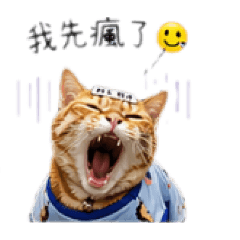 阿貓旺財 我先瘋了