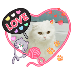 Title_20260421225456