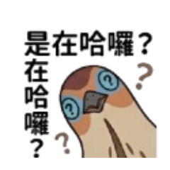 鳥？？
