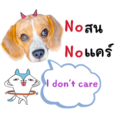 Hobby the beagle -2 Plus+