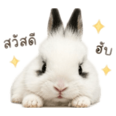 Sawitri_20260421234225