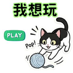 他是一隻非常愛玩的貓