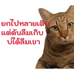 Beebow_20260422000139