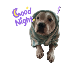 Beau big bang_20260421235226