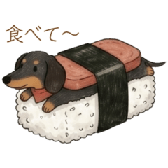 Black Doxie Daily Life (JP Ver.)