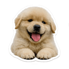 Chanwitnan Maneenopparat_20260422012002