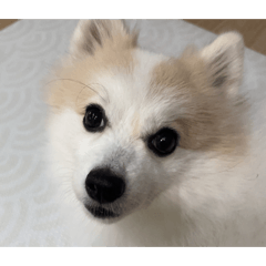 Nong Chertam Narak V2