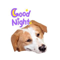 mumoon_20260422092629