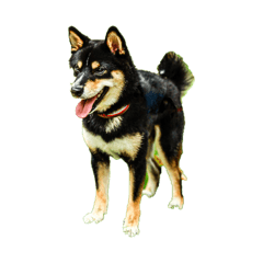 makahimo_20260422130816