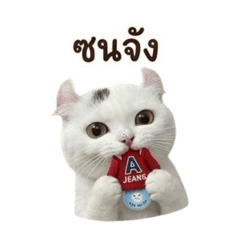 Yaowanit_20260422094623