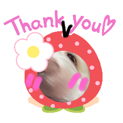 Phu u uuu_20260422103029