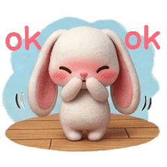 BIBIM RJ_20260422102631