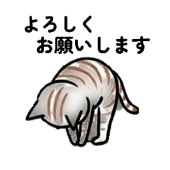 Rachel_20260422151410