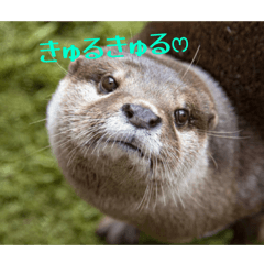 Egawatan_20260418221646