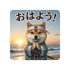 fujikko_20260422152925