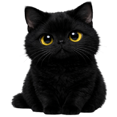 A cute black cat bright eyes (No Text)