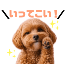 yanchan_20260418212701