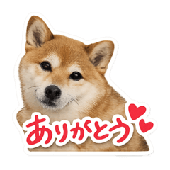 yururin_20260422155704