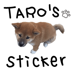 柴犬TAROのスタンプ