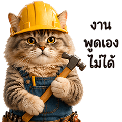 Builder Cat: Work & Daily Talk