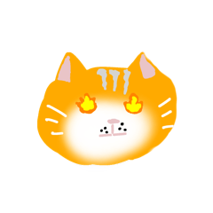 Cat orange!!