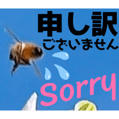 Mochioba_20260423092138