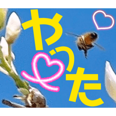 Mochioba_20260423093124