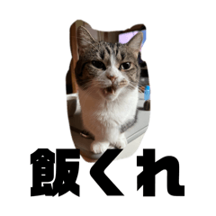 haruchan_20260422191804