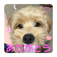 chanasa_20260422192057