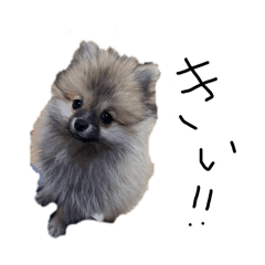 sayasaya_20260422163610