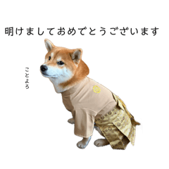 gorin_20260422163900