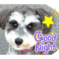 itigo_20260422163451