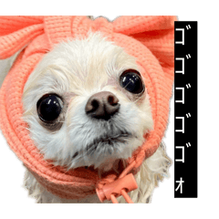 monako3_20260422164206