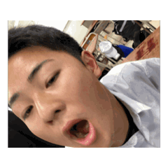 shingo_20260422190949