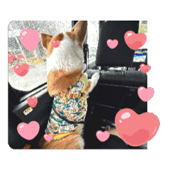 Coron_20260422193519